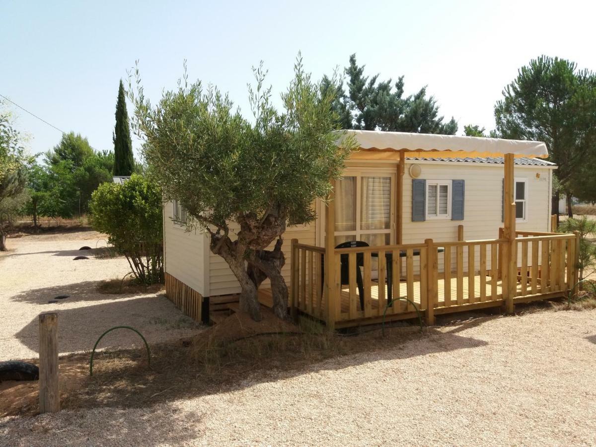 Camping Bola Hotell Villena Exteriör bild